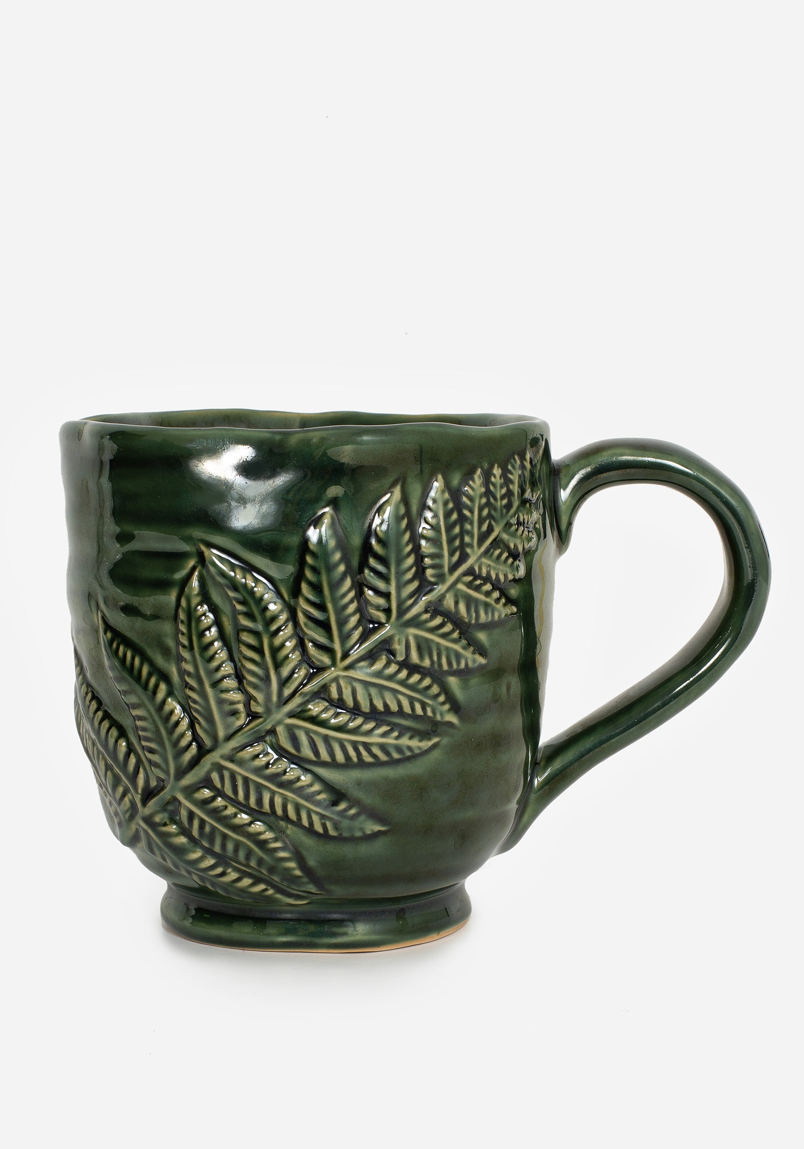 AM161_Fern_Mug_001