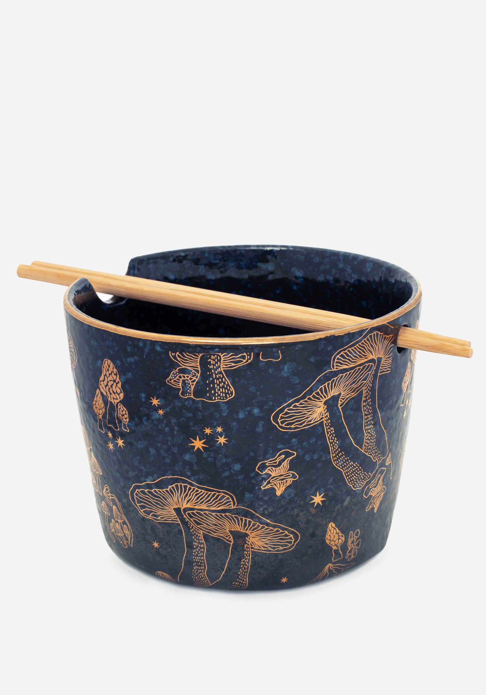 AM99_Faefire_Foilded_Mushroom_Print_Ramen_Bowl_002