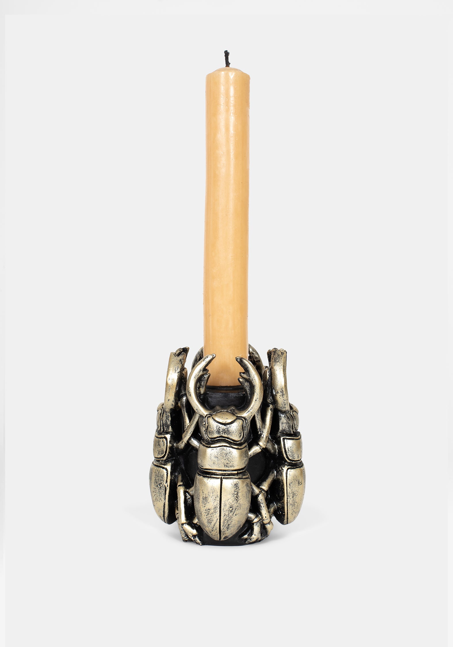 CI3287_Hexara_Bug_Candle_Stick_Holder_004_738697ed-ea28-418e-b14f-75e45d5f24cb