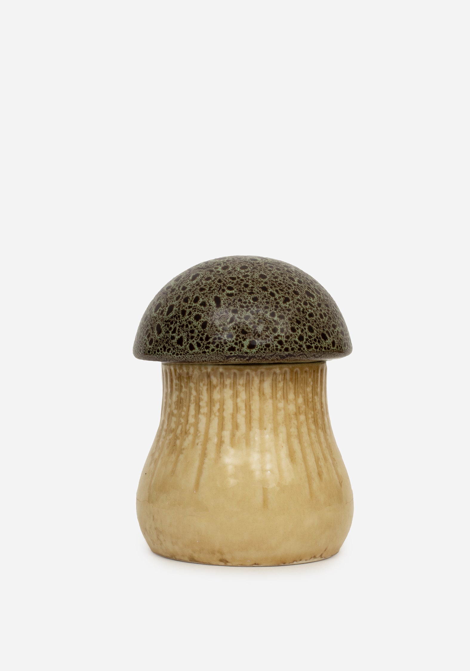 CR2163_NETTUNUMUSHROOMTRINKETPOT_001