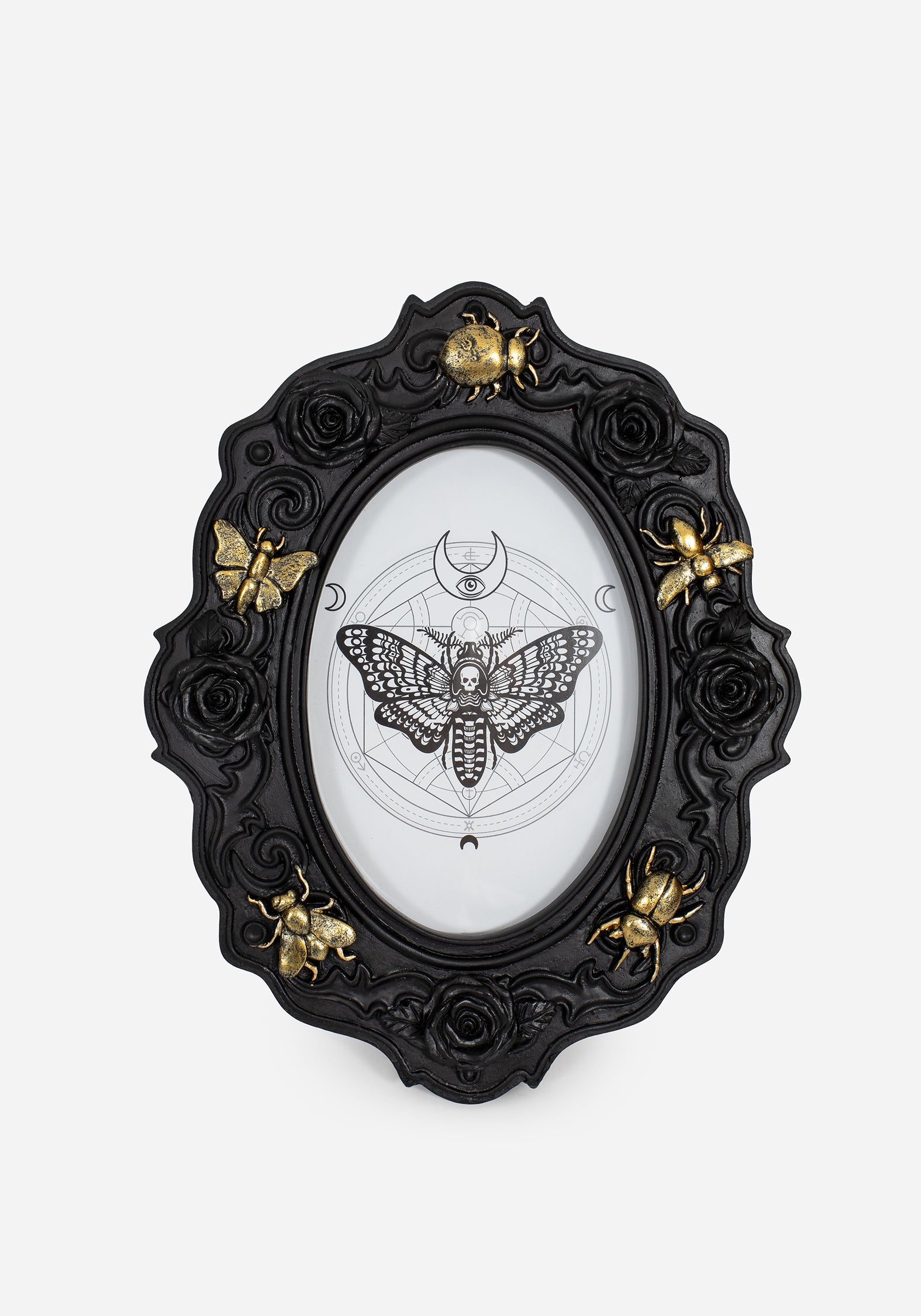 OT2640_HenbaneBugPhotoframe_001