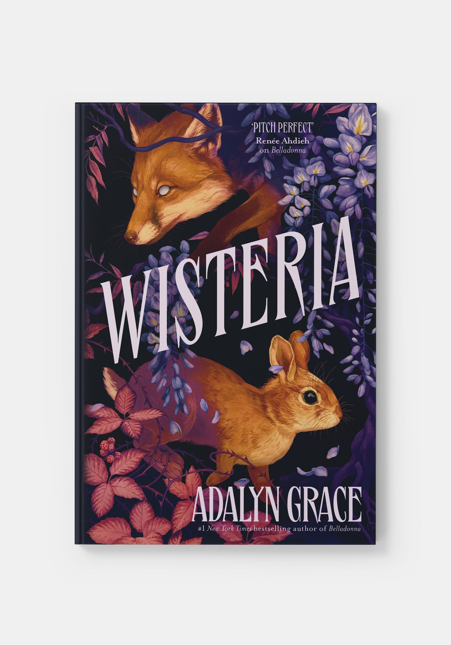 OT3987_WISTERIA