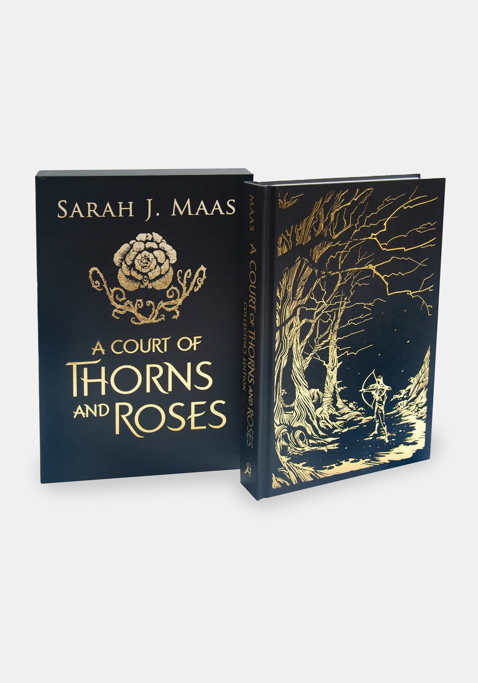 OT4012_ACOURTOFTHORNSANDROSES