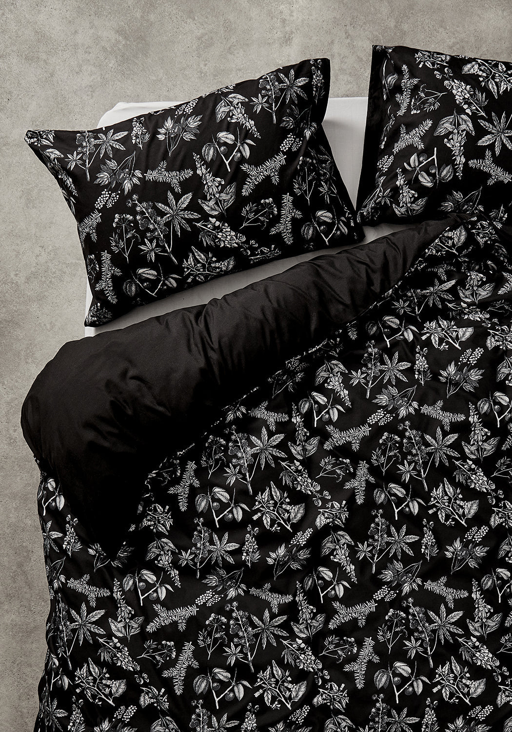 plants-bed-crop_22e2db7c-a0c7-48a7-9de8-db5ab3277cea